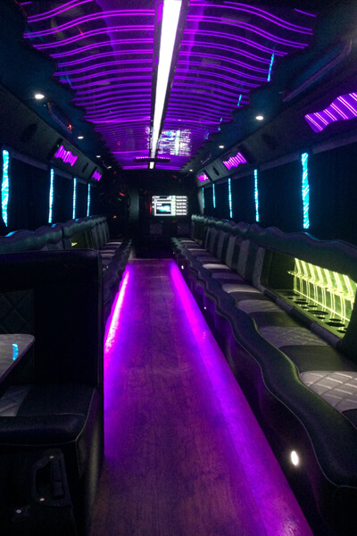 50 Passenger Dina Limo Bus